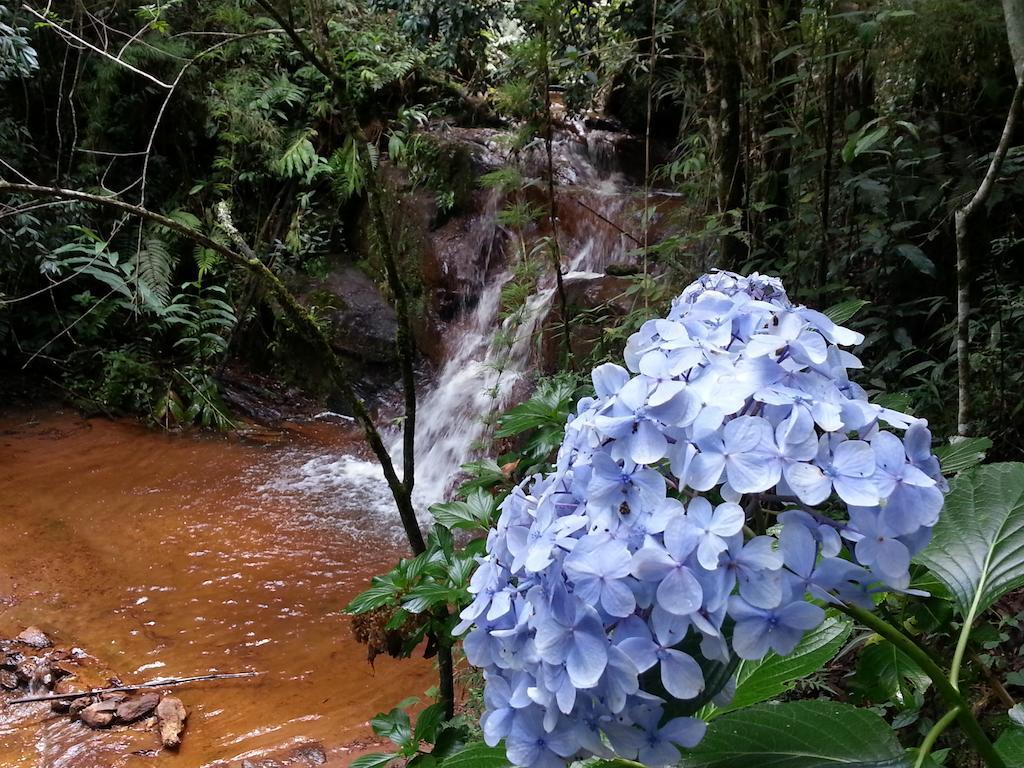 Pousada Da Oma Cunha Exteriör bild
